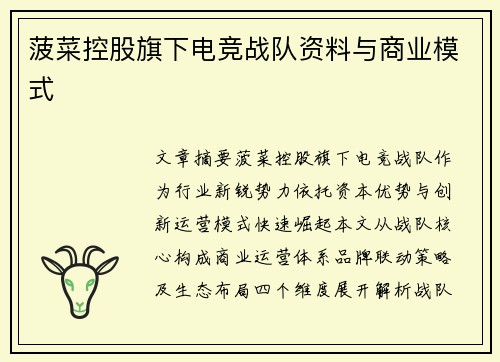 菠菜控股旗下电竞战队资料与商业模式